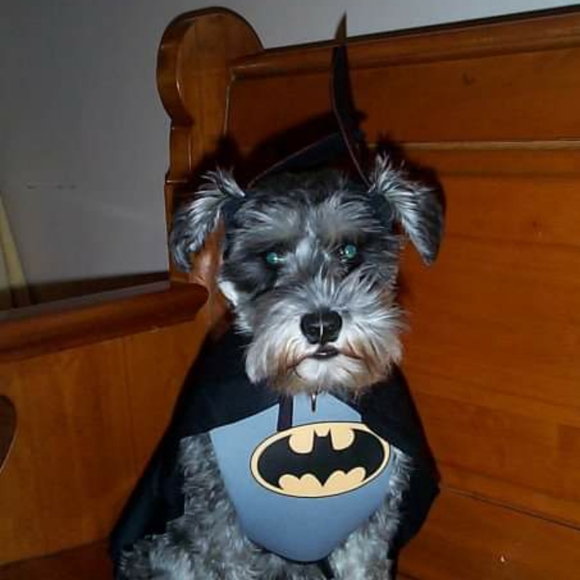 Meet your Posher, Mary - Picture 6 of 8